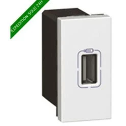 LEGRAND Mosaic Prise USB 1100 MA Blanc - 077591
