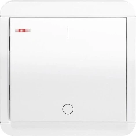 RS2W Sans Fil Interrupteur Mural Montage En Saillie Portée Max. 150 M 1 RS2W Sans Fil Interrupteur Mural Montage En Saillie Portée Max. 150 M