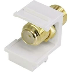 Renkforce RF-KS-FKP Module Encastrable F Keystone