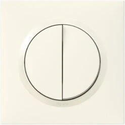 Double Interrupteur Va-et-vient Dooxie - 10A - 250V - Complet - Blanc - Legrand