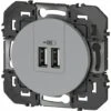 Chargeur 2 USB - A+A - 2.4A - 12W - Dooxie - Aluminium Composable - Legrand
