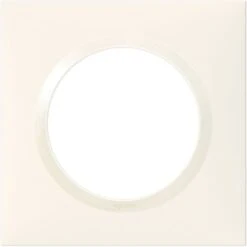 Plaque Carrée Dooxie - Blanc - 1 Poste - Legrand