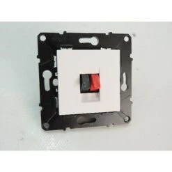 Prise Haut-parleur HP 1 Sortie Blanc Borne Auto Repérées Rouge Et Noir Encastré (sans Plaque) ESPACE EVOLUTION ARNOULD 64047