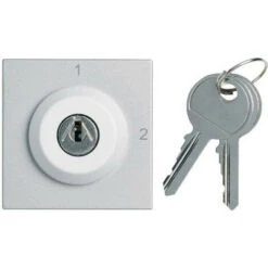 Interrupteur A Clefs Gallery 2 Positions 2 Modules Titane HAGER WXF615T