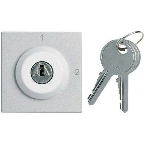 Interrupteur A Clefs Gallery 2 Positions 2 Modules Titane HAGER WXF615T 1 Interrupteur A Clefs Gallery 2 Positions 2 Modules Titane HAGER WXF615T