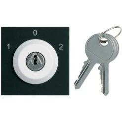 Interrupteur A Clefs Gallery 3 Positions Extraction En Position 0 Night HAGER WXF617N