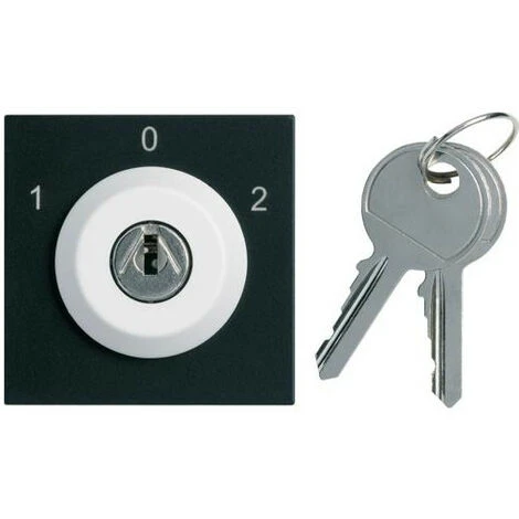 Interrupteur A Clefs Gallery 3 Positions Extraction En Position 0 Night HAGER WXF617N 1 Interrupteur A Clefs Gallery 3 Positions Extraction En Position 0 Night HAGER WXF617N