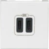 Double Chargeur USB Mosaic - Type C - 2 Modules - Composable - Blanc - Legrand