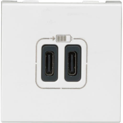 Double Chargeur USB Mosaic - Type C - 2 Modules - Composable - Blanc - Legrand 1 Double Chargeur USB Mosaic - Type C - 2 Modules - Composable - Blanc - Legrand