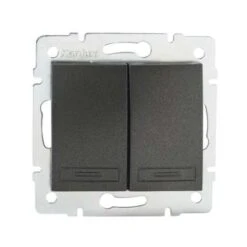Interrupteur Encastrable Double DOMO Graphite