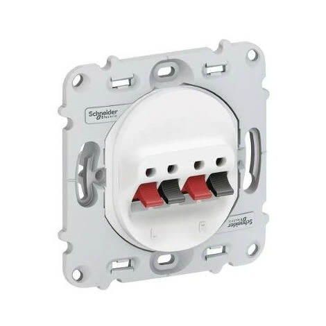 Schneider® OVALIS PRISE HAUT PARLEUR 2 SORTIES SANS PLAQUE SCHNEIDER S261488 2 Schneider® OVALIS PRISE HAUT PARLEUR 2 SORTIES SANS PLAQUE SCHNEIDER S261488 – Image 2