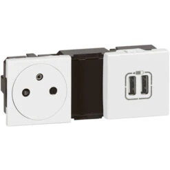 Legrand Prise De Courant + Chargeur 2 USB Mosaic - Blanc