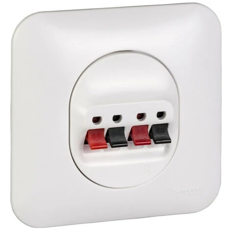 Schneider® Ovalis - Prise Haut-parleurs 2 Sorties - 4 Bornes à Ressorts - Fixation Par Vis (S260488) 1 Schneider® Ovalis - Prise Haut-parleurs 2 Sorties - 4 Bornes à Ressorts - Fixation Par Vis (S260488)