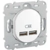 Schneider® Ovalis - Double Chargeur Usb 2.1 A - Sans Plaque De Fintion - Blanc (S261407)