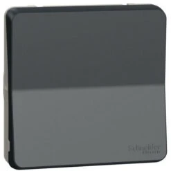 Schneider® Mureva Styl - Interrupt Bipolaire - Composable - IP55 IK08 - Connex Auto - Gris (MUR35034)