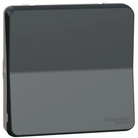 Schneider® Mureva Styl - Interrupt Bipolaire - Composable - IP55 IK08 - Connex Auto - Gris (MUR35034) 1 Schneider® Mureva Styl - Interrupt Bipolaire - Composable - IP55 IK08 - Connex Auto - Gris (MUR35034)