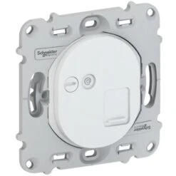 Schneider® Ovalis - Prise RJ45 - Cat.6 UTP - Téléphone/informatique -ss Plaque De Finition (S261475)