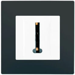 Prise Téléphone Blanc Delta Viva + Plaque Anthracite - SIEMENS - SIEMENS