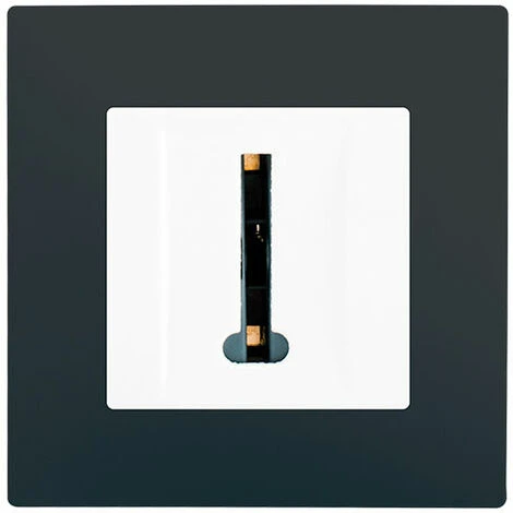 Prise Téléphone Blanc Delta Viva + Plaque Anthracite - SIEMENS - SIEMENS 1 Prise Téléphone Blanc Delta Viva + Plaque Anthracite - SIEMENS - SIEMENS