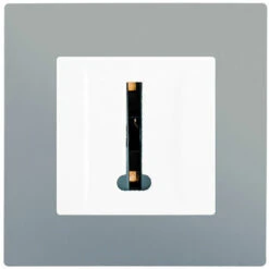 Prise Téléphone Blanc Delta Viva + Plaque Silver - SIEMENS - SIEMENS