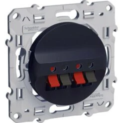 Schneider® Odace, Prise Haut-parleurs Anthracite, 2 Sorties (S540488)