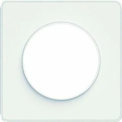 Schneider® Plaque De Finition 1 Poste Blanc Odace