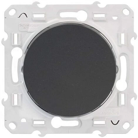 Schneider® Va-et-vient Anthracite 10A à Vis Odace 1 Schneider® Va-et-vient Anthracite 10A à Vis Odace