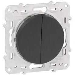 Schneider® Double Va-et-vient 10A à Vis Anthracite Odace