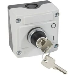 BOITIER A CLE 2 POSITIONS STABLES LEGRAND 024217