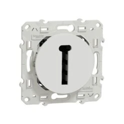 Schneider® ODACE, CONJONCTEUR EN T BLANC, 8 CONTACTS, À VIS