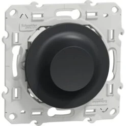 Wiser Odace Variateur Rotatif LED 2 Fils Zigbee Anthracite, Schneider Electric Ref. S540513W