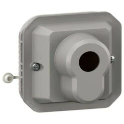 Legrand Interrupteur à Clé Accès Sécurisé 2 Positions Plexo Composable Gris (069706L)