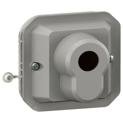 Legrand Interrupteur à Clé Accès Sécurisé 2 Positions Plexo Composable Gris (069706L) 1 Legrand Interrupteur à Clé Accès Sécurisé 2 Positions Plexo Composable Gris (069706L)