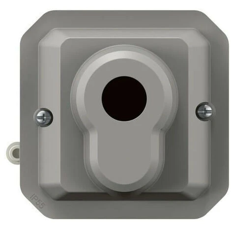 Legrand Interrupteur à Clé Accès Sécurisé 2 Positions Plexo Composable Gris (069706L) 2 Legrand Interrupteur à Clé Accès Sécurisé 2 Positions Plexo Composable Gris (069706L) – Image 2