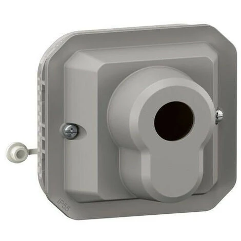 Legrand Poussoir à Clé Accès Sécurisé 3 Positions Plexo Composable Gris (069705L) 1 Legrand Poussoir à Clé Accès Sécurisé 3 Positions Plexo Composable Gris (069705L)