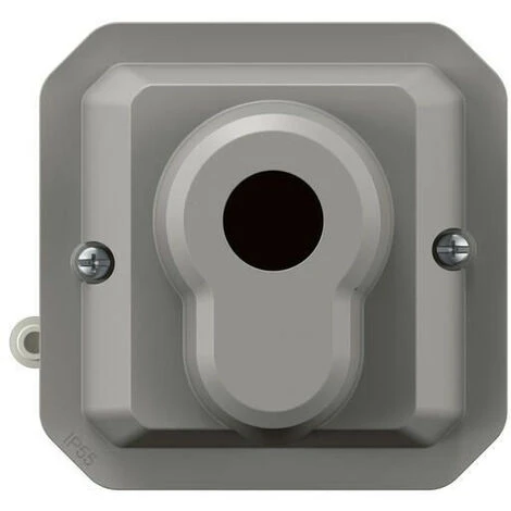 Legrand Poussoir à Clé Accès Sécurisé 3 Positions Plexo Composable Gris (069705L) 2 Legrand Poussoir à Clé Accès Sécurisé 3 Positions Plexo Composable Gris (069705L) – Image 2