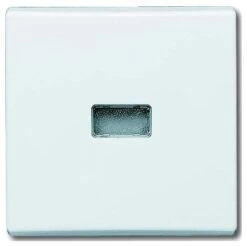 BUSCH-JAEGER 2107-34 PLAQUE DE RECOUVREMENT, COMMUTATEUR INVERSEUR DE CONTRÔLE, BLANC ALPIN, PROTÉGÉ CONTRE L'EAU IP44