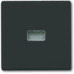 BUSCH-JAEGER 2107-35 NOIR PLAQUE DE COMMUTATION ET OBTURATEUR (1731-0-1742) 2CKA001731A1742