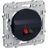 SCHNEIDER ELECTRIC - ODACE PRISE HAUT PARLEUR 1 SORTIE ANTHRACITE - S540487