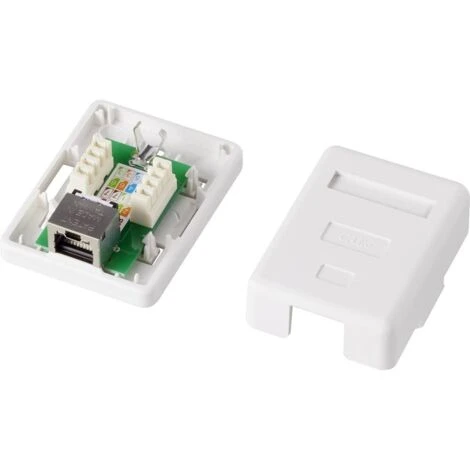 Prise Réseau Montage Apparent (en Saillie) CAT 6 1 Port Renkforce KSV-ND10 Blanc 3 Prise Réseau Montage Apparent (en Saillie) CAT 6 1 Port Renkforce KSV-ND10 Blanc – Image 3