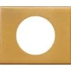Legrand Plaque De Finition 1 Poste Céliane Finition Matières Doré