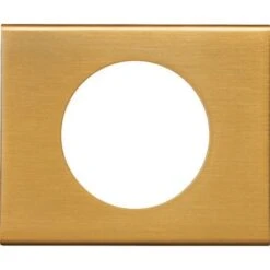 Legrand Plaque De Finition 1 Poste Céliane Finition Matières Doré