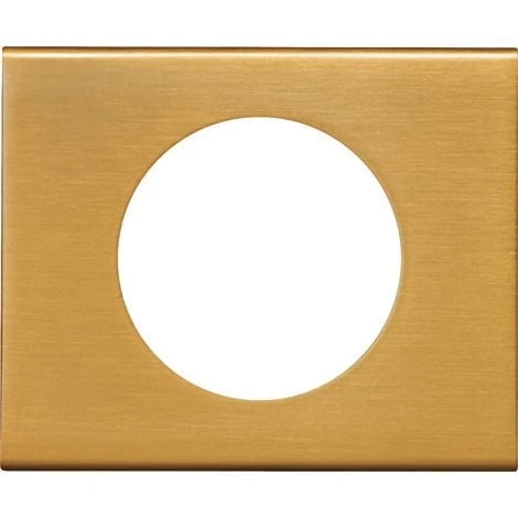 Legrand Plaque De Finition 1 Poste Céliane Finition Matières Doré 1 Legrand Plaque De Finition 1 Poste Céliane Finition Matières Doré