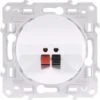 Schneider® PRISE HAUT-PARLEUR ODACE SCHNEIDER BLANC RAL 9003 S520487