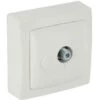 Legrand Prise TV Pour Satellite Pour Moulure Appareillage Saillie - Blanc