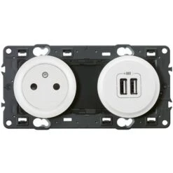 Legrand Prise De Courant Avec Terre Céliane Surface Et Double Chargeur USB - Blanc