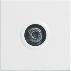 Legrand Prise TV Type "F" à Visser Mosaic - Blanc - 2 Modules