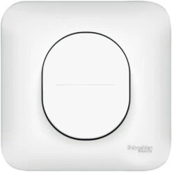 Schneider® Bouton Poussoir Ovalis - 10A - Connexion Automatique - Blanc
