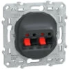 Schneider® Ovalis - Prise Haut-parleur 2 Sorties - Anthracite (S340488)