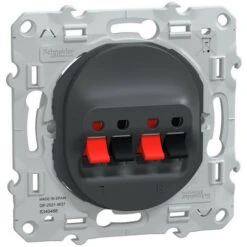 Schneider® Ovalis - Prise Haut-parleur 2 Sorties - Anthracite (S340488)